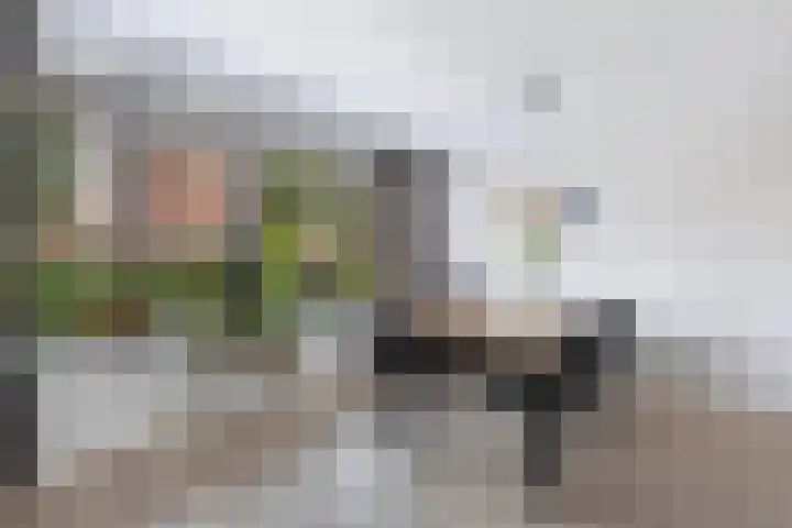 Berltsumer Wiid 27 Franeker thumbnail 20