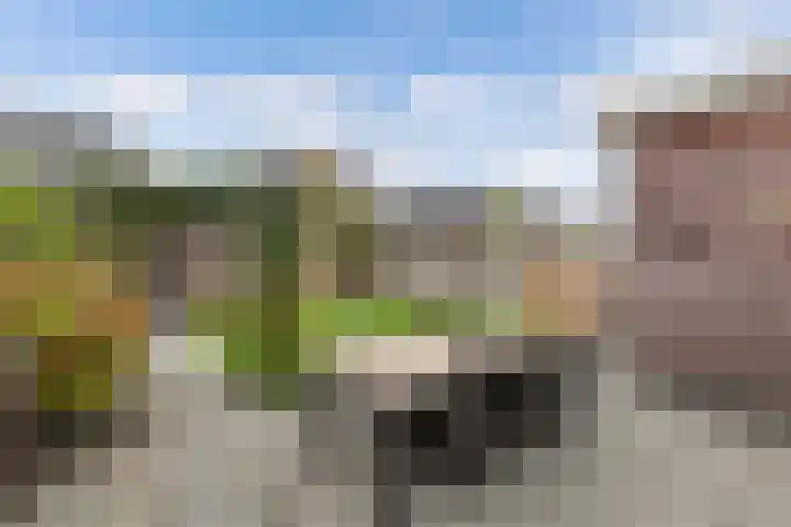 Berltsumer Wiid 27 Franeker thumbnail 25