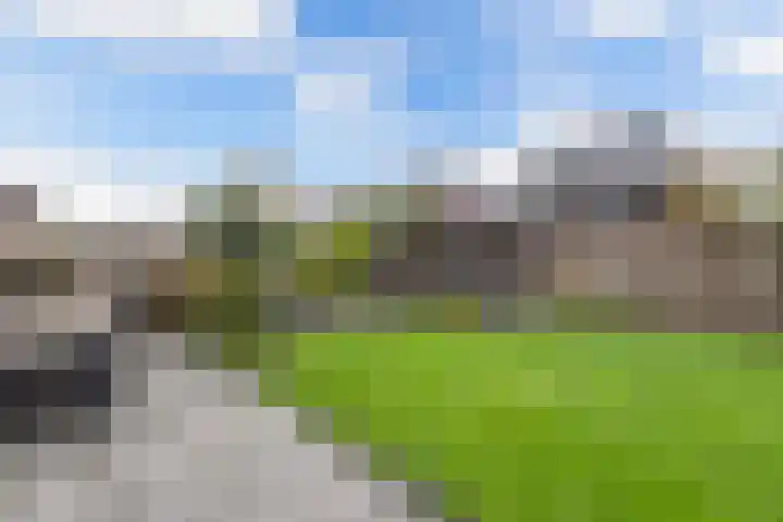 Berltsumer Wiid 27 Franeker thumbnail 28