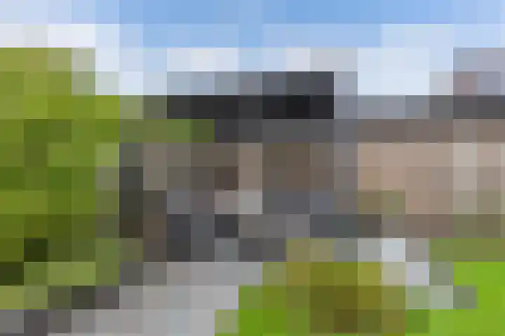 Berltsumer Wiid 27 Franeker thumbnail 29