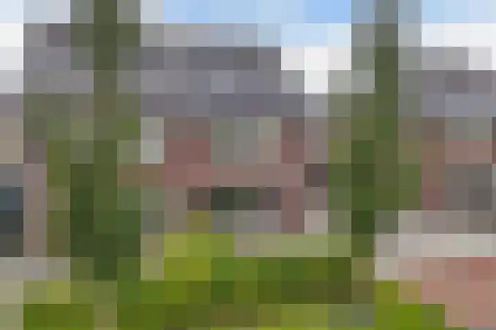 Berltsumer Wiid 27 Franeker foto 3
