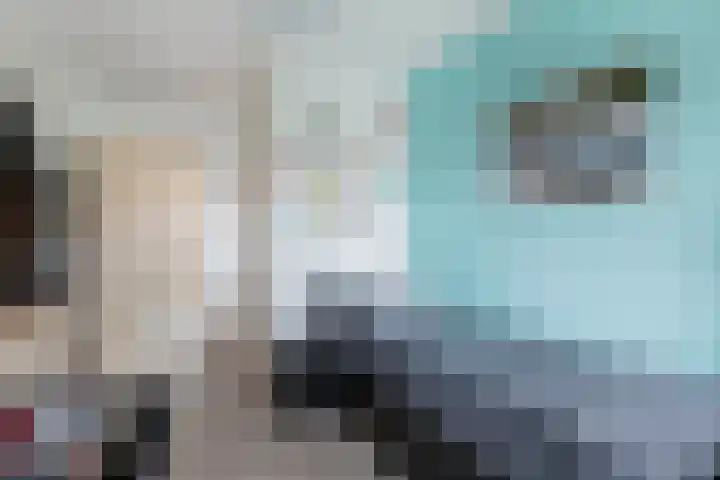 Berltsumer Wiid 27 Franeker thumbnail 42