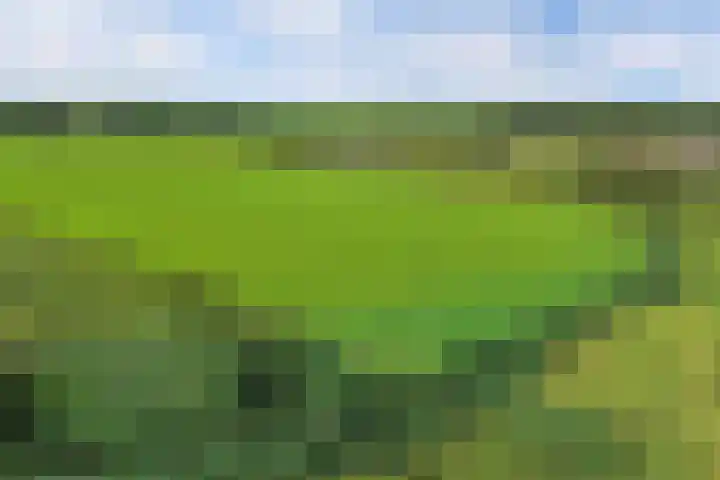 Berltsumer Wiid 3 Franeker thumbnail 10