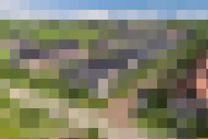 Berltsumer Wiid 3 Franeker thumbnail 11