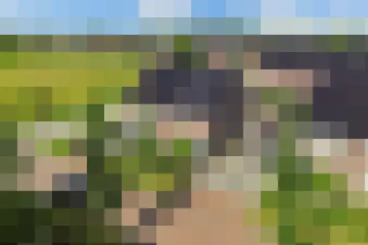 Berltsumer Wiid 3 Franeker thumbnail 13