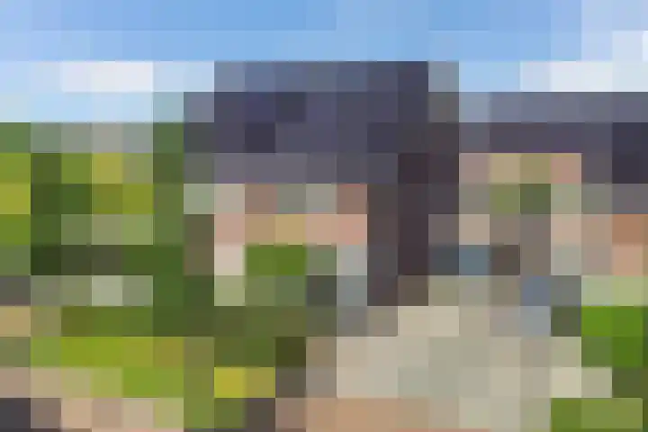 Berltsumer Wiid 3 Franeker thumbnail 14