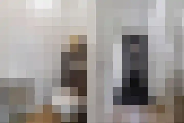 Berltsumer Wiid 3 Franeker thumbnail 17