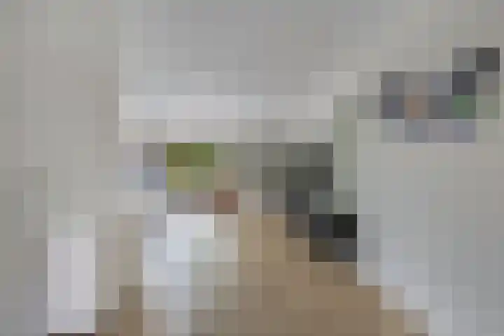 Berltsumer Wiid 3 Franeker thumbnail 18