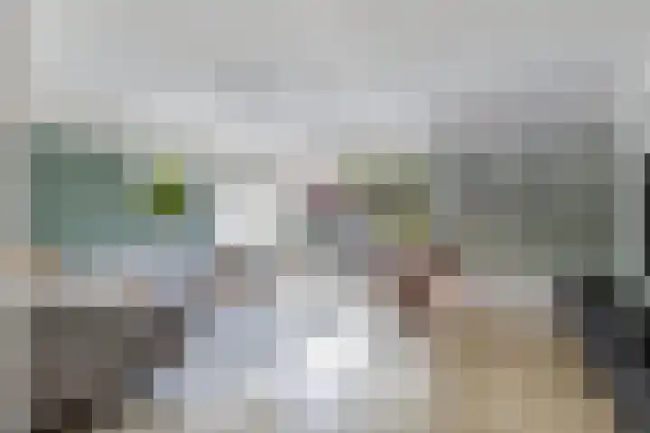 Berltsumer Wiid 3 Franeker thumbnail 19
