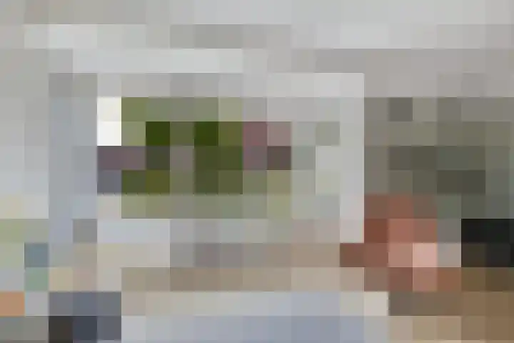 Berltsumer Wiid 3 Franeker thumbnail 20