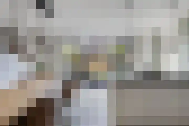 Berltsumer Wiid 3 Franeker thumbnail 24