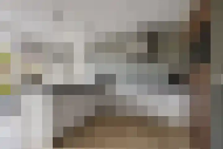 Berltsumer Wiid 3 Franeker thumbnail 25