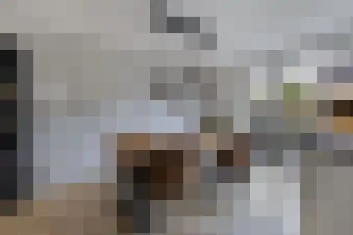 Berltsumer Wiid 3 Franeker thumbnail 26