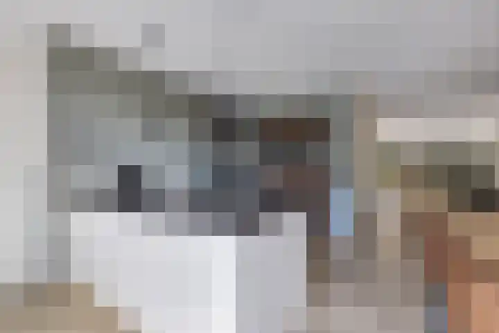 Berltsumer Wiid 3 Franeker thumbnail 27