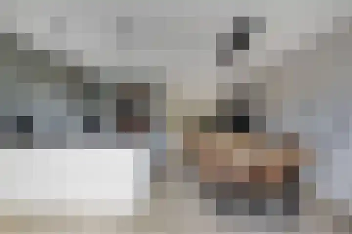 Berltsumer Wiid 3 Franeker thumbnail 28