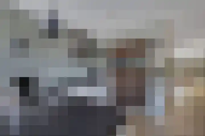 Berltsumer Wiid 3 Franeker thumbnail 29