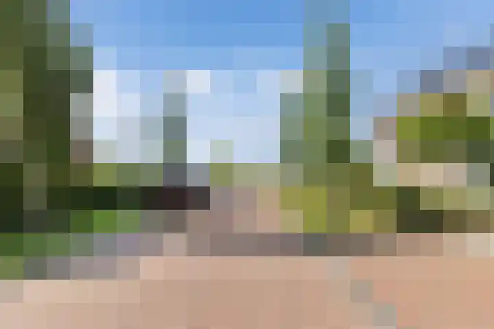 Berltsumer Wiid 3 Franeker foto 3