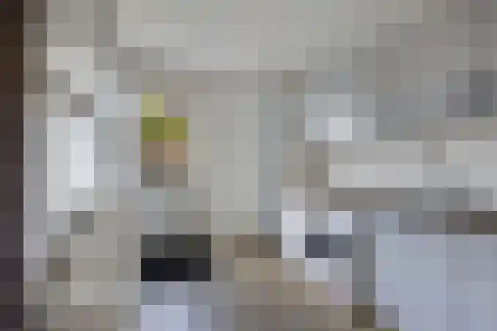 Berltsumer Wiid 3 Franeker thumbnail 30