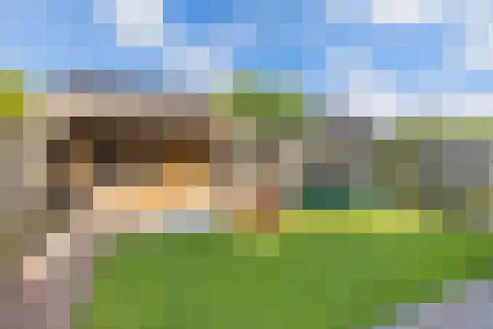 Berltsumer Wiid 3 Franeker thumbnail 34