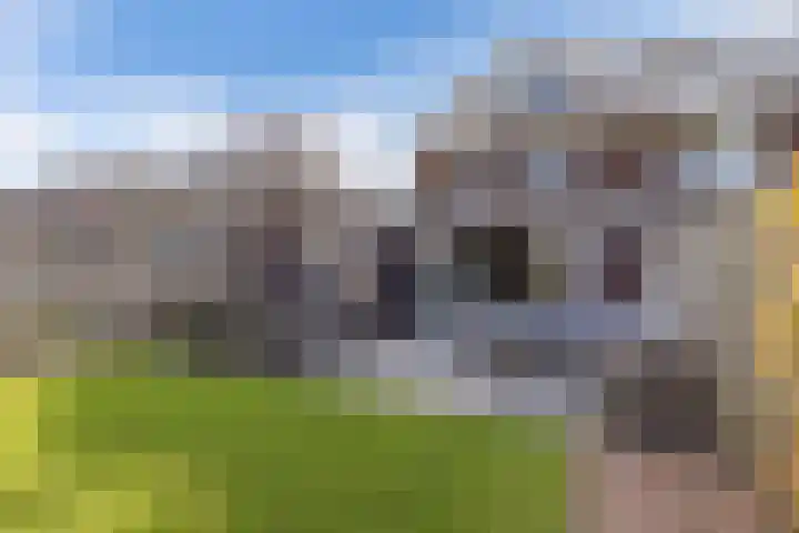Berltsumer Wiid 3 Franeker thumbnail 35