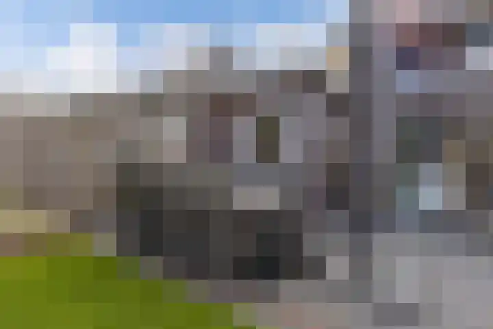 Berltsumer Wiid 3 Franeker thumbnail 36