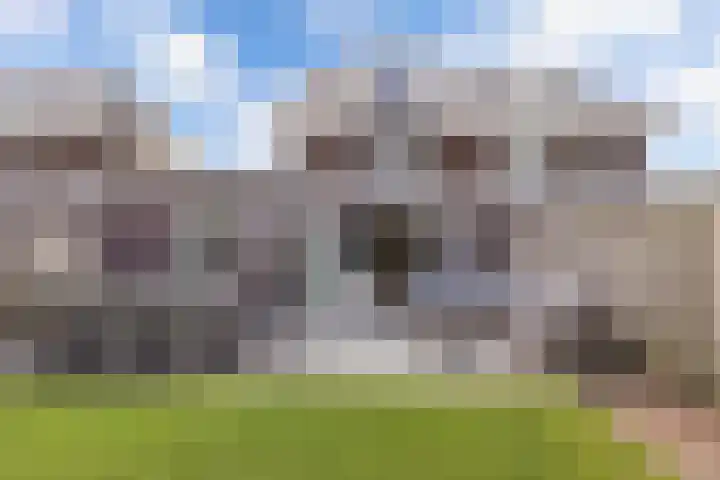 Berltsumer Wiid 3 Franeker thumbnail 38
