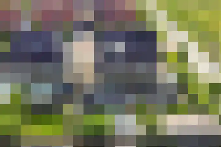 Berltsumer Wiid 3 Franeker thumbnail 39