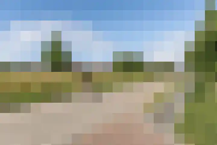 Berltsumer Wiid 3 Franeker thumbnail 4