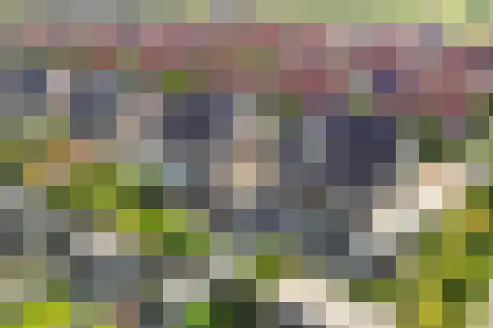 Berltsumer Wiid 3 Franeker thumbnail 40