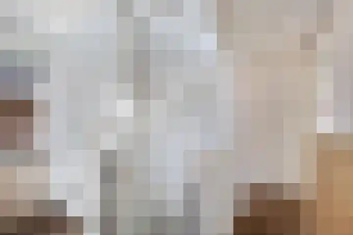 Berltsumer Wiid 3 Franeker thumbnail 41
