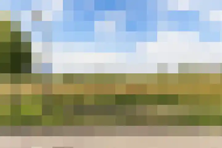Berltsumer Wiid 3 Franeker thumbnail 5