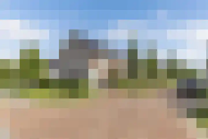 Berltsumer Wiid 3 Franeker thumbnail 6