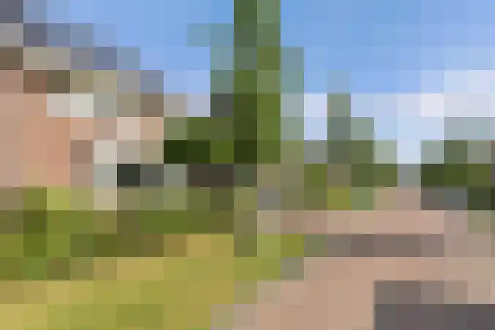 Berltsumer Wiid 3 Franeker thumbnail 7
