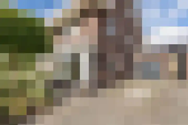 Berltsumer Wiid 3 Franeker thumbnail 9