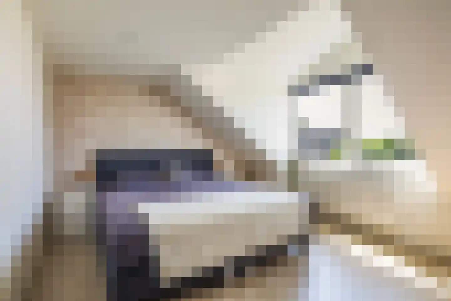 Berltsumerdyk 38 Menaam thumbnail 29