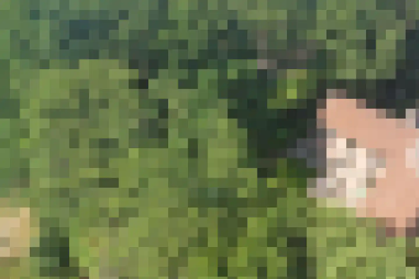 Berm 1 Kerkdriel thumbnail 43