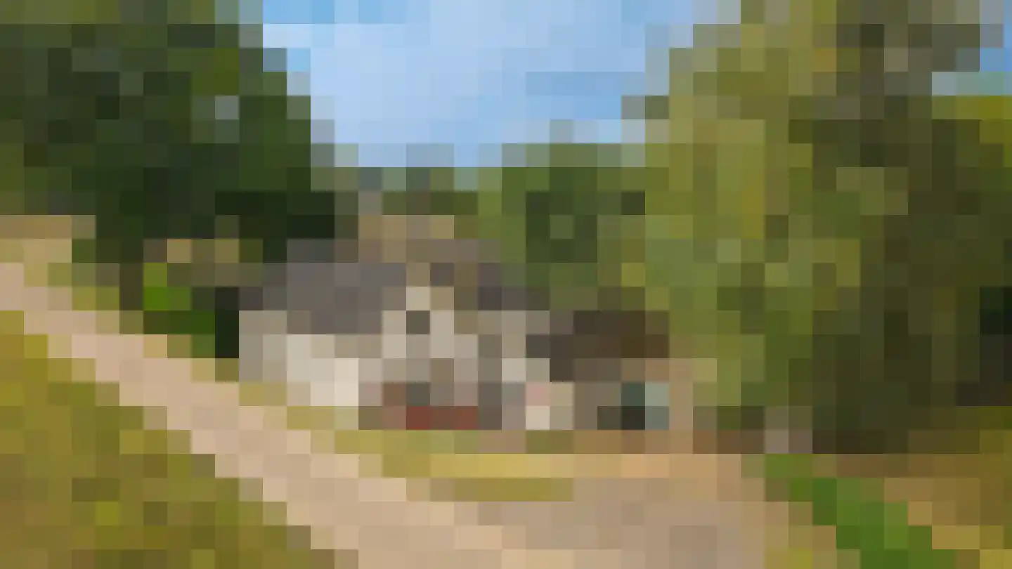 Berm 45 Kerkdriel