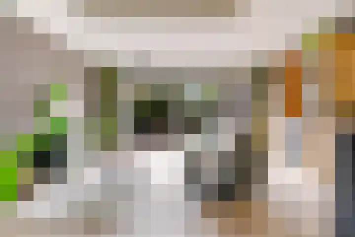 Bermershof 111 Uden thumbnail 13