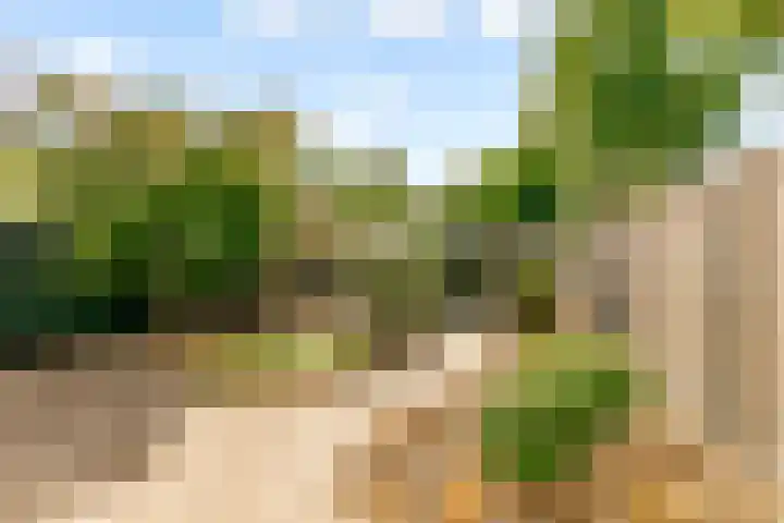 Bermershof 111 Uden thumbnail 42