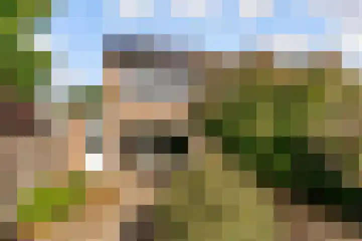 Bermershof 111 Uden thumbnail 43