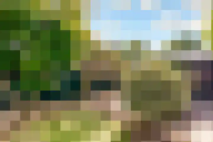 Bermershof 111 Uden thumbnail 47