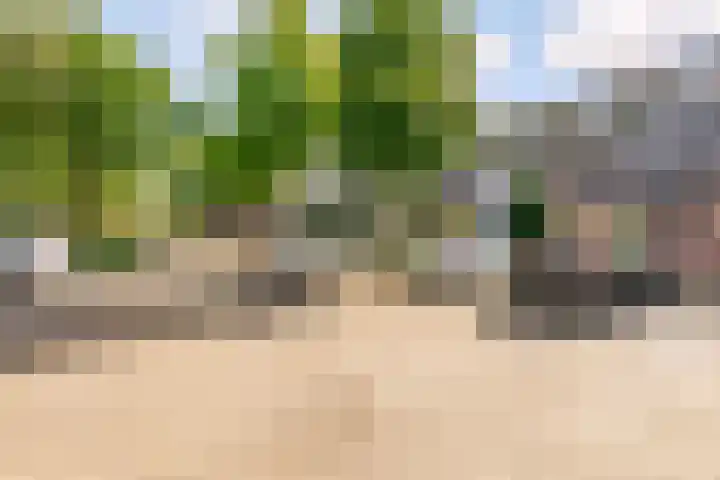 Bermershof 111 Uden thumbnail 53
