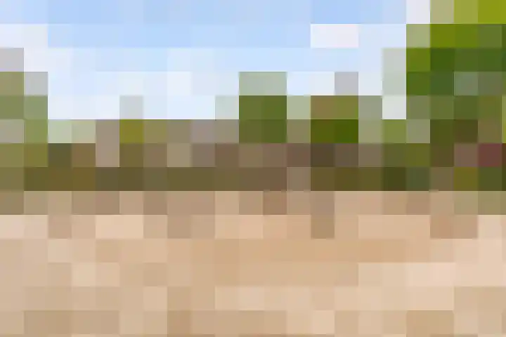 Bermershof 111 Uden thumbnail 54