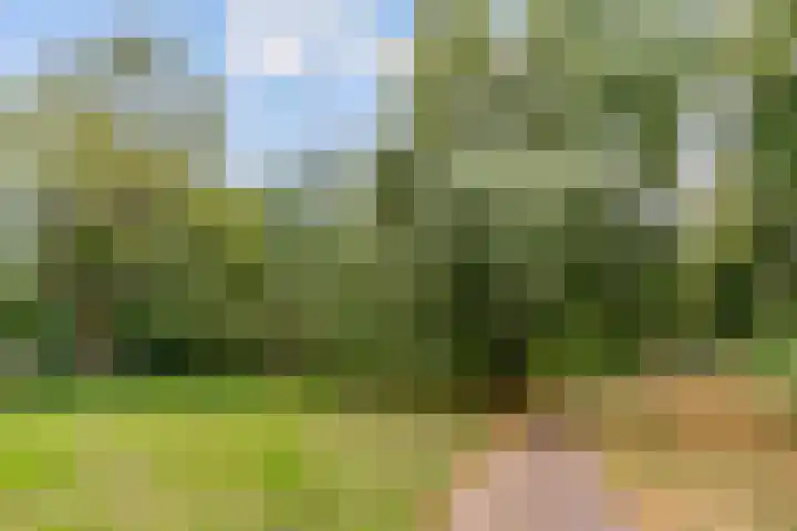 Bermershof 111 Uden thumbnail 58