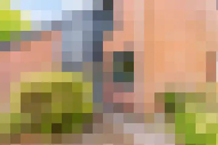Bermershof 111 Uden thumbnail 7