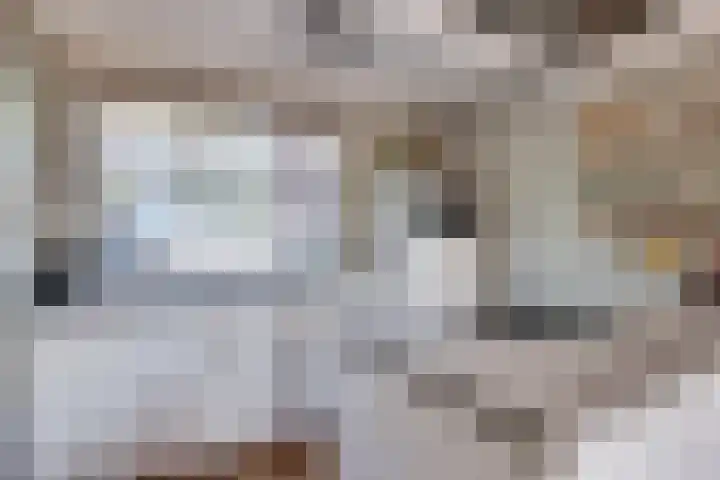 Bermershof 147 Uden foto 2