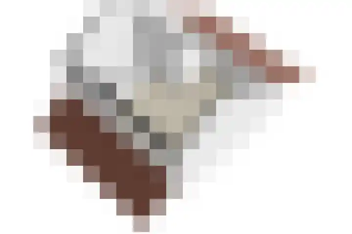 Bermershof 147 Uden thumbnail 37