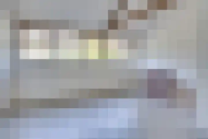 Bermershof 147 Uden thumbnail 4