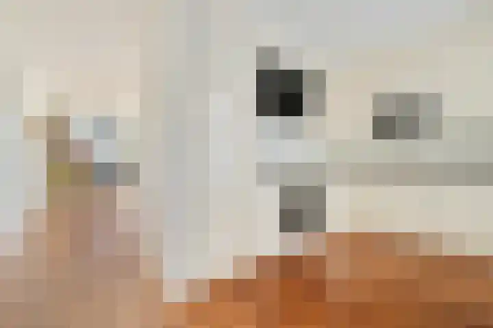 Bermershof 147 Uden thumbnail 8
