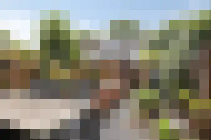 Bermershof 255 Uden thumbnail 20